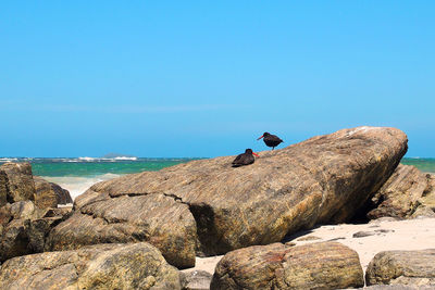 Scenic view of sea against clear blue sky