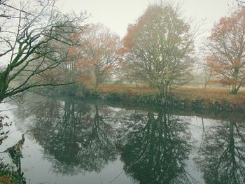 Trees by lake against sky during autumn