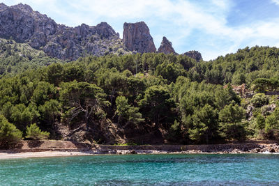 Scenic view of trees by sea against sky