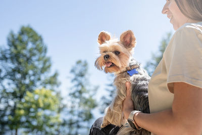 Caucasian woman smiling holding small dog yorkshire terrier. woman travel with pet. selective focus