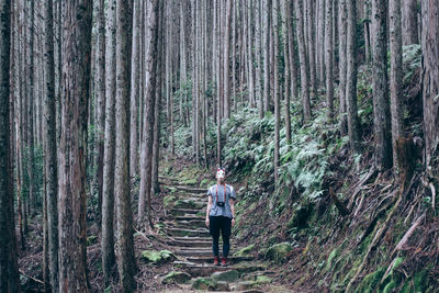 Rear view of woman standing in forest