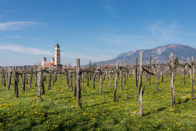 Wooden posts on field against sky