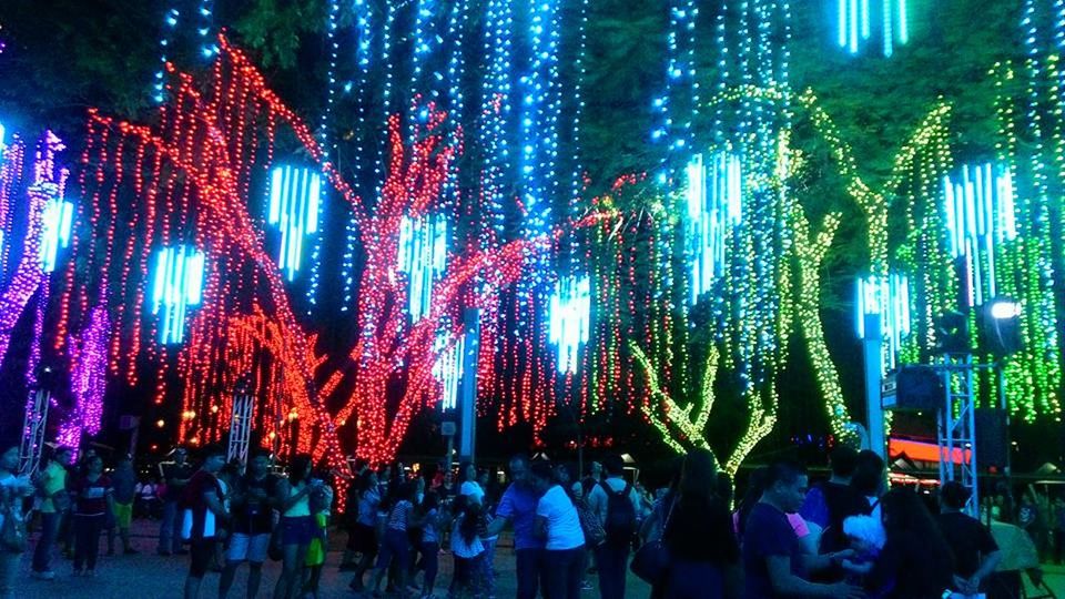 FIREWORKS DISPLAY AT NIGHT