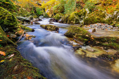 Stream flowing through rocks in forest