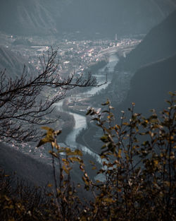 Aerial view of frozen lake and trees