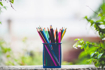 Close-up of colored pencils in desk organizer on retaining wall at yard