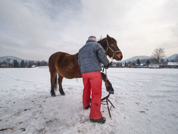 Farrier assistant keep horse with front leg on tripod. regular hoof check in winter on horse farm