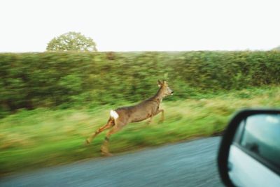 Car on road