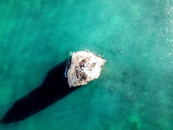 High angle view of rock on sea shore