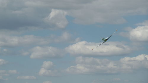 Bird flying in sky