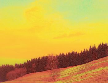 Scenic view of landscape against orange sky