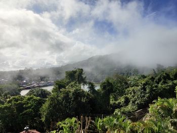 Scenic view of forest against sky