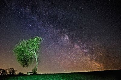 Low angle view of starry sky