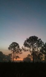 Silhouette of trees on landscape at sunset