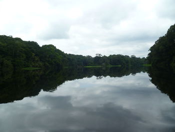 Scenic view of lake by trees against sky