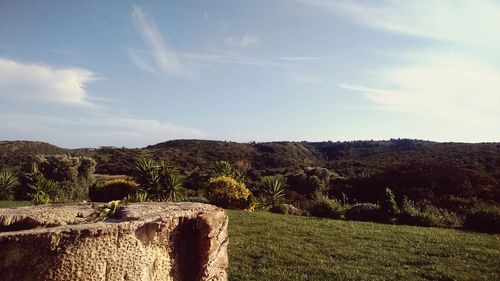 Scenic view of landscape against cloudy sky