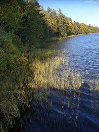 Scenic view of lake