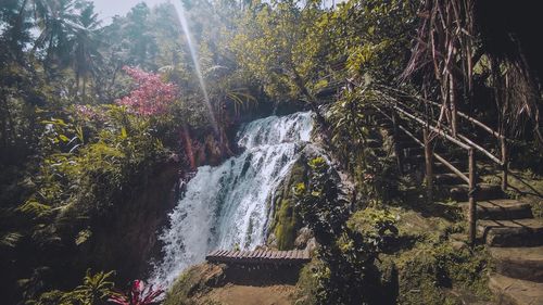 Scenic view of waterfall in forest