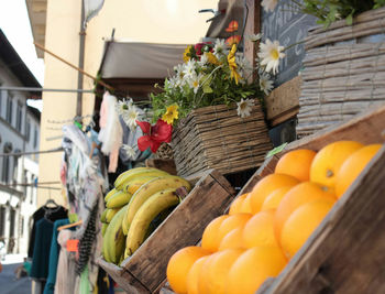Pumpkins for sale in market