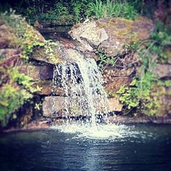 Scenic view of waterfall