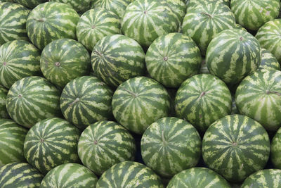 Full frame shot of watermelons for sale