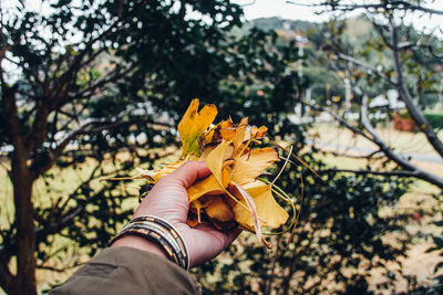 Close-up of hand holding yellow flower