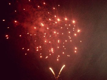 Low angle view of firework display at night