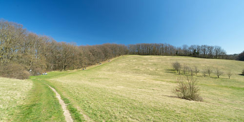 Scenic view of field against clear blue sky