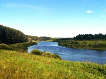 Scenic view of river with trees in background