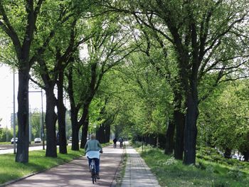 Rear view of man walking on footpath