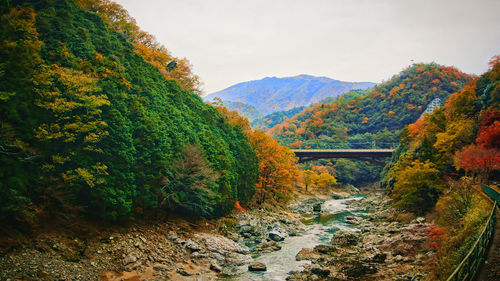 Trees growing on mountain against sky during autumn