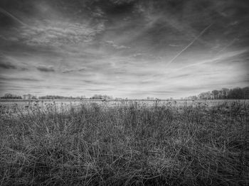 Scenic view of field against cloudy sky