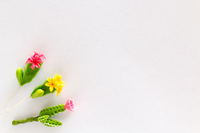Directly above shot of pink flowers against white background