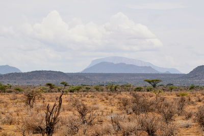 Scenic view of landscape against sky, mount ololokwe in samburu, kenya 