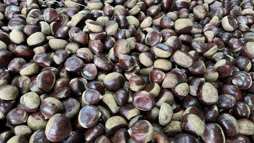 large group of objects