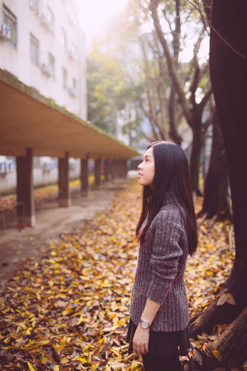 lifestyles, casual clothing, leisure activity, standing, tree, focus on foreground, autumn, rear view, full length, young adult, leaf, person, side view, long hair, day, outdoors, holding