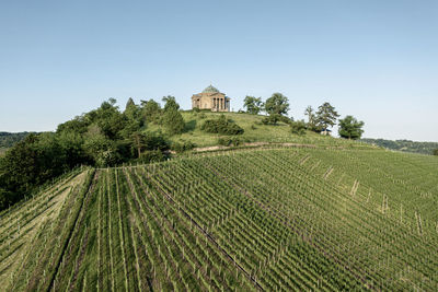 Scenic view of agricultural field against clear sky