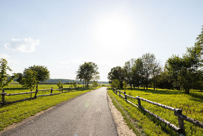 Road amidst trees against sky