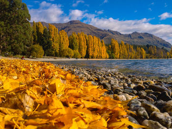 Scenic view of lake against sky during autumn