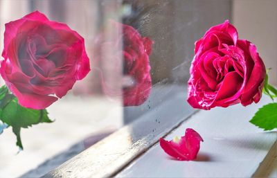 Close-up of rose bouquet