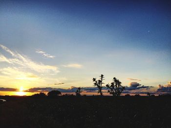 Silhouette trees on field against sky at sunset