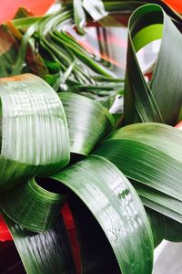 Close-up of green leaf on table