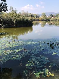 Scenic view of lake against sky