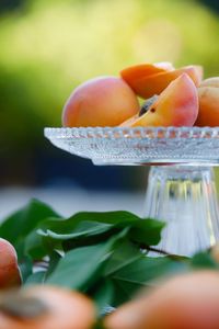 Close-up of oranges on plant