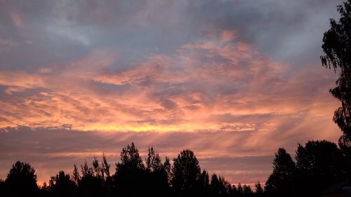 Low angle view of silhouette trees against sky during sunset