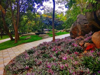 Trees and plants growing on landscape