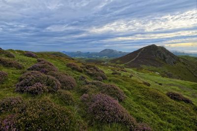 Scenic view of mountains, field and heather against sky