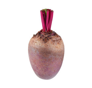 Close-up of common beet against white background