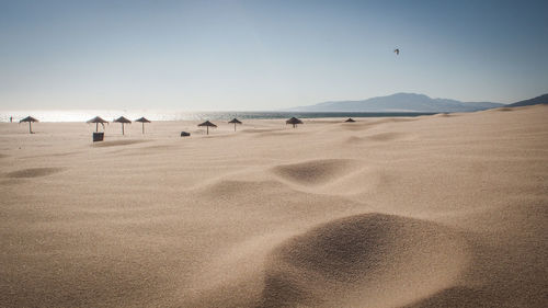 Scenic view of beach against clear sky