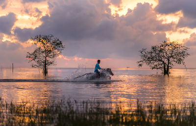 Man riding horse in lake against sky at sunset